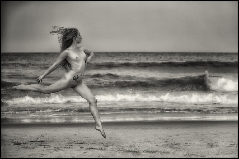 A10C8228-BW