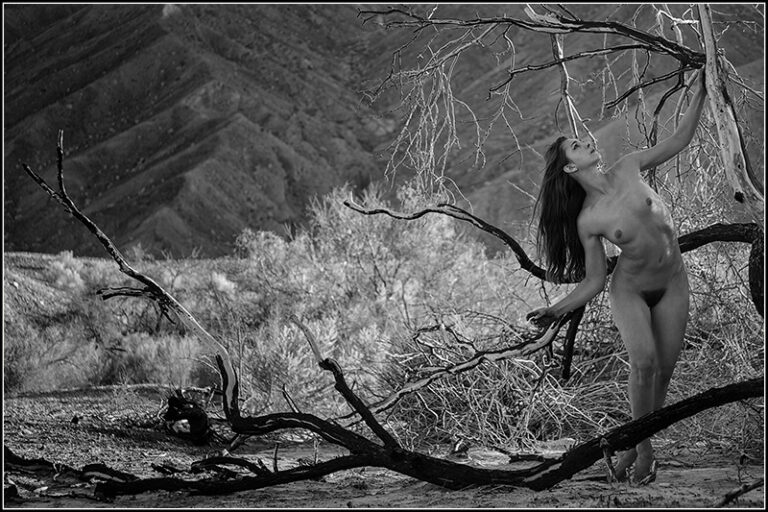 Death Valley Rejuvenation